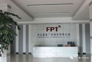 国产手机供应商50强 互联网销售驱动品牌崛起与市场重塑